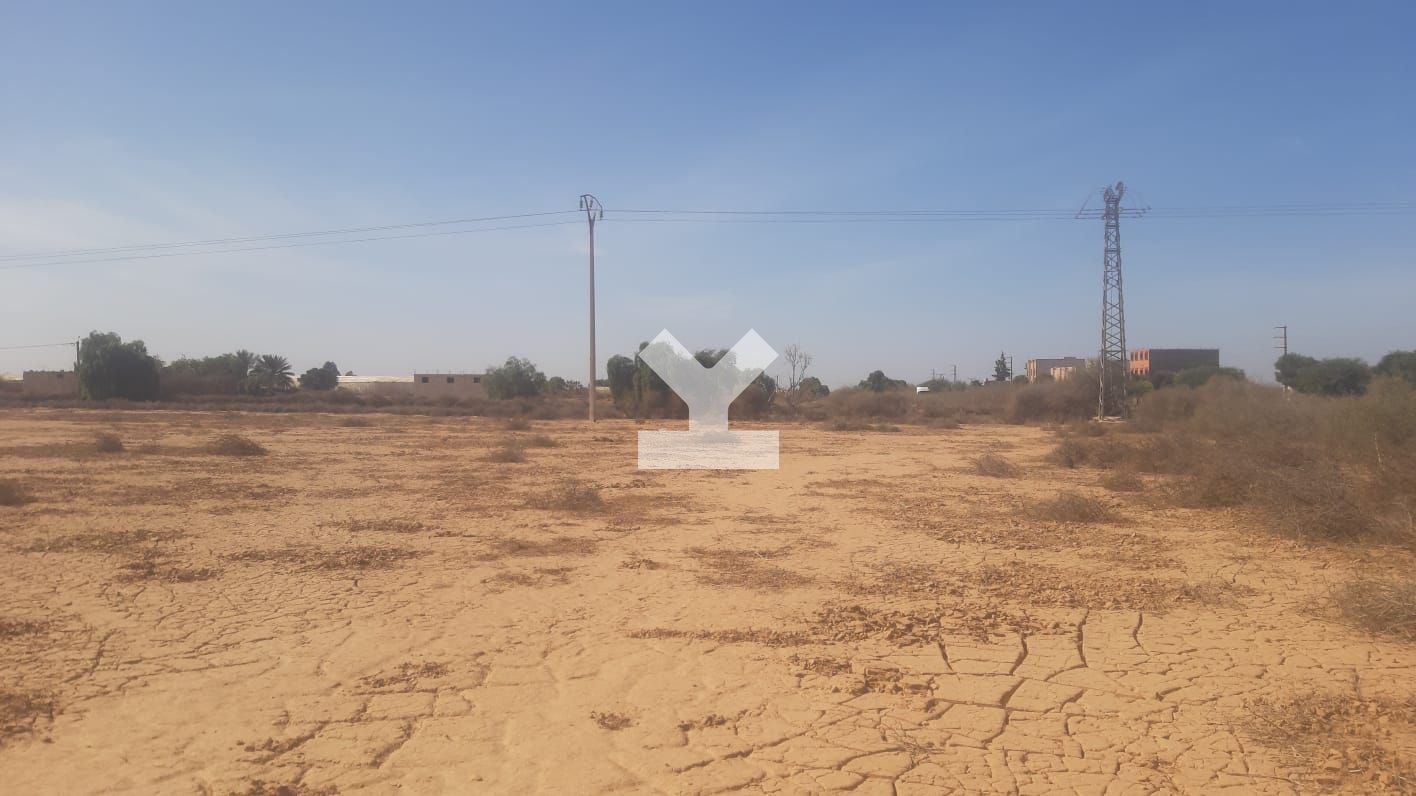 / i085890/image_605083321.jpeg